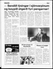 Síða 5