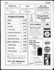 Síða 17
