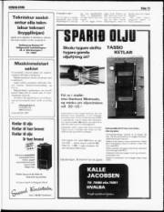 Síða 13