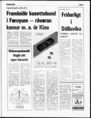 Síða 3