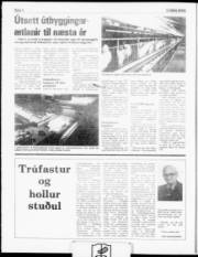 Síða 4