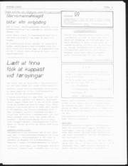 Síða 3