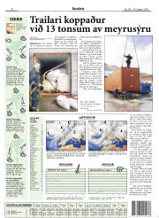 Síða 13
