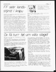 Síða 5