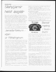 Síða 11