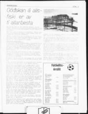 Síða 5