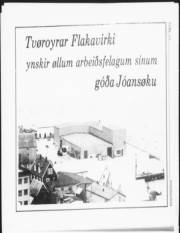 Síða 10