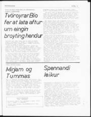 Síða 3