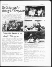 Síða 5