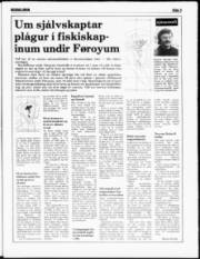 Síða 3