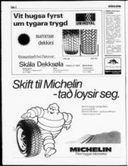 Síða 2