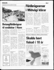 Síða 3