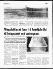 Síða 11