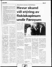 Síða 15