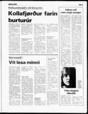 Síða 5
