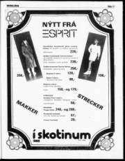 Síða 17