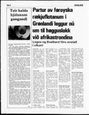 Síða 8