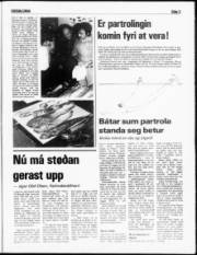 Síða 3