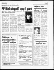 Síða 3