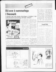 Síða 20