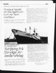 Síða 5