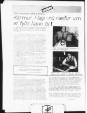 Síða 12