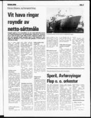 Síða 3