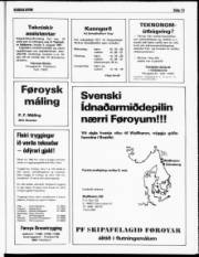 Síða 13