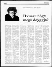 Síða 2