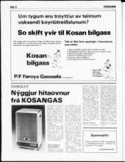 Síða 12
