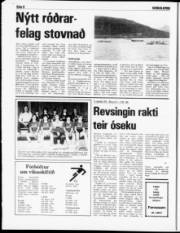 Síða 8