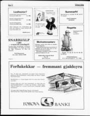 Síða 12