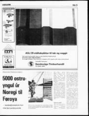 Síða 15