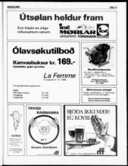 Síða 13