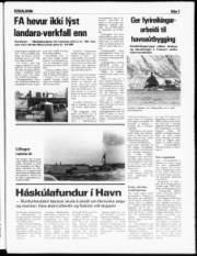 Síða 3
