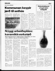 Síða 5