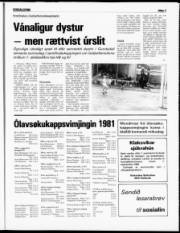 Síða 7