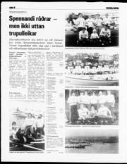 Síða 8