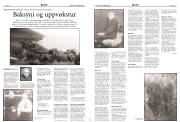 Síða 8