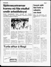 Síða 3