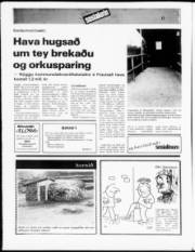 Síða 12