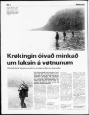 Síða 2