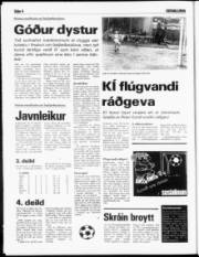 Síða 4
