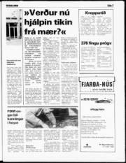 Síða 3