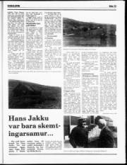 Síða 13