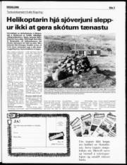 Síða 3