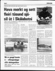 Síða 8