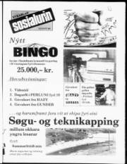 Síða 17