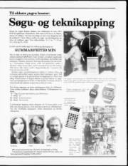 Síða 19
