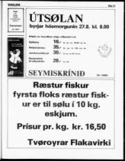 Síða 13